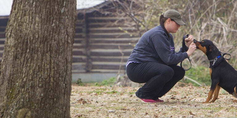 Student sits with dog in field