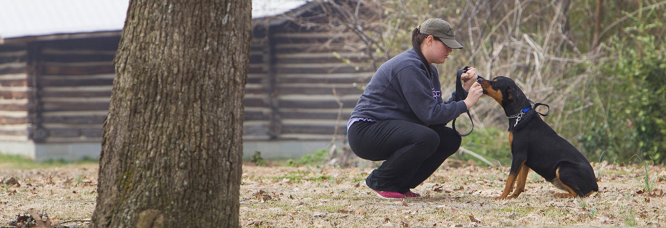 Student sits with dog in field